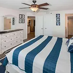 Phoenix VI 305