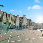 Phoenix V 413