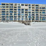 Lei Lani 505T