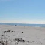Summer House On Romar Beach IV