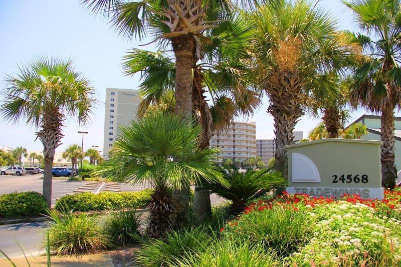 Tradewinds 302 Apartment Orange Beach