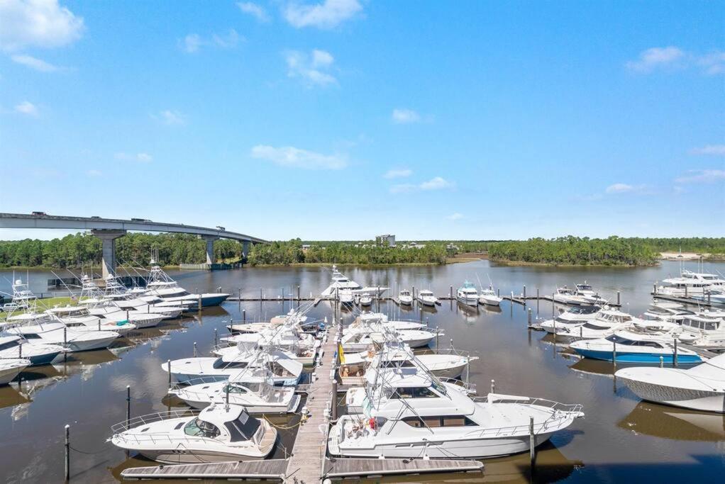 Apartment The Wharf With Oasis Pool!