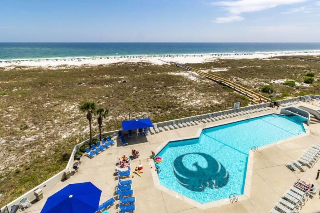 Phoenix Vi 6512 - Beachfront W/ Beautiful Ocean Views! * Orange Beach