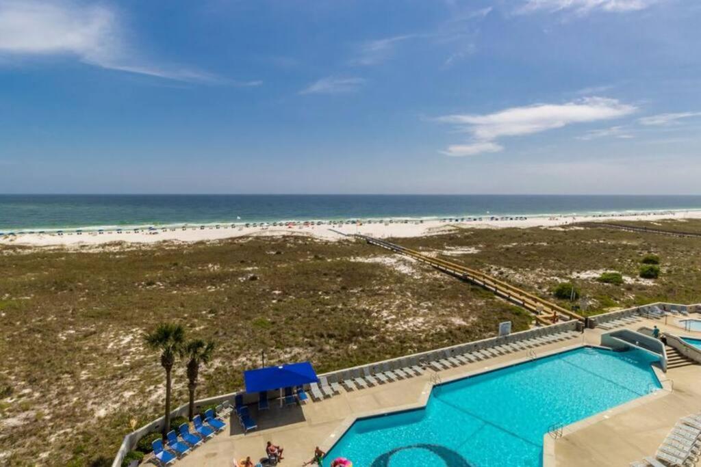 Phoenix Vi 6511 - Beachfront Updated Condo! *