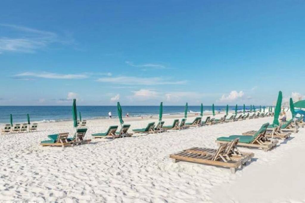Phoenix Vi 6511 - Beachfront Updated Condo! Orange Beach