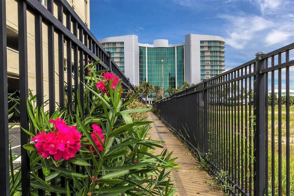Bella Luna 902-new Rental-3bd/3bath-upscale Luxury Apartment