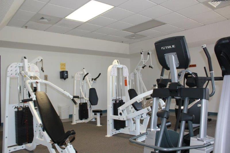 Phoenix Vii 71113 By Albvr - Beautiful Beachfront With Amazing Views & Amenities! Holiday home Orange Beach