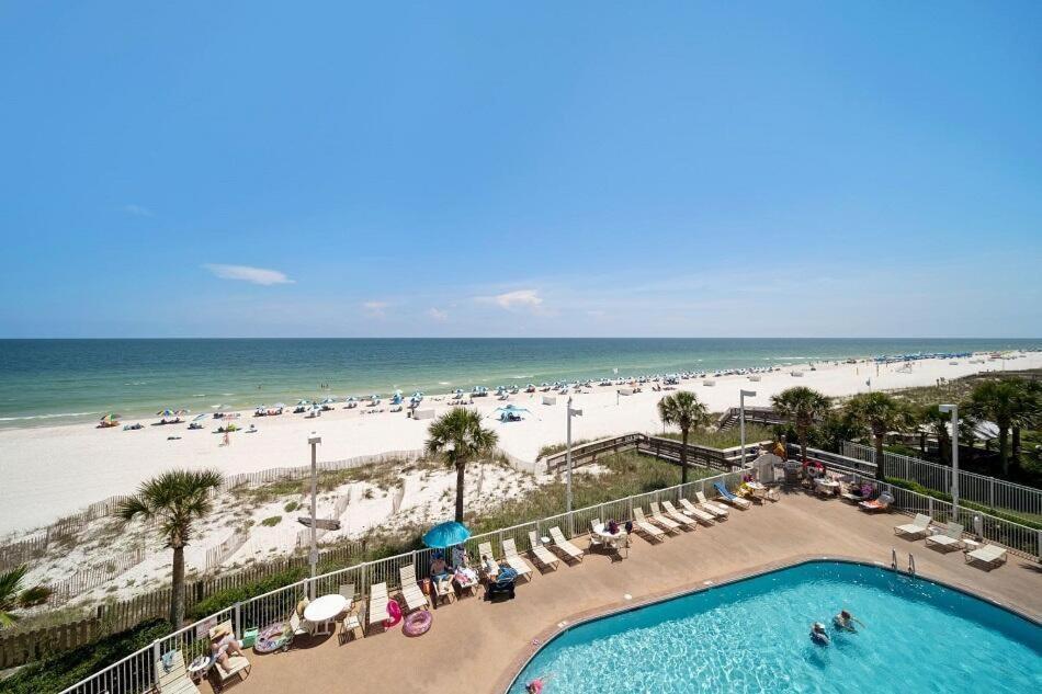 Tradewinds 302 *