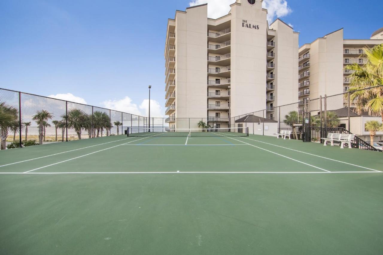 The Palms 504 By Collection *