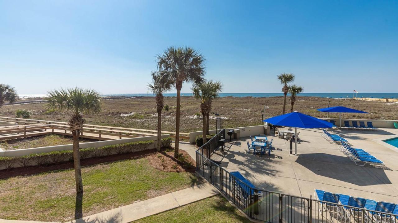 Apartment Phoenix Vi 6113