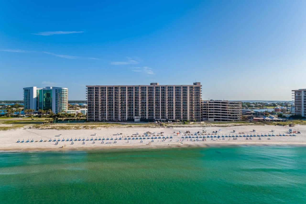 Phoenix X 312 * Orange Beach