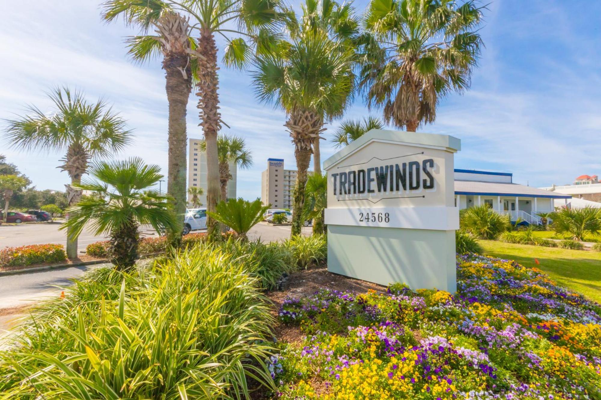 Tradewinds 205 *