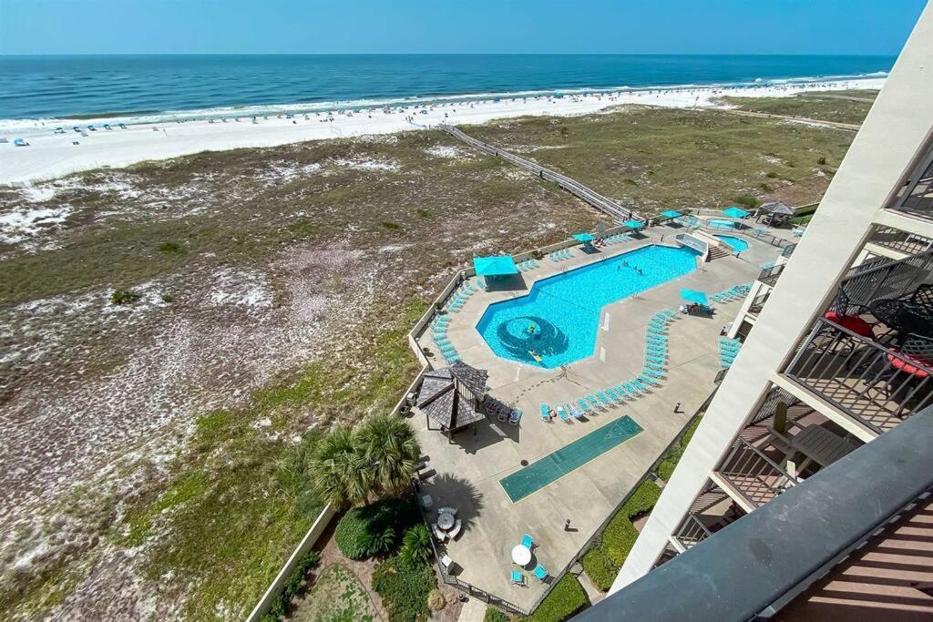 Phoenix-vii Unit 7814 - New-beach Front-sleeps 6 Apartment *