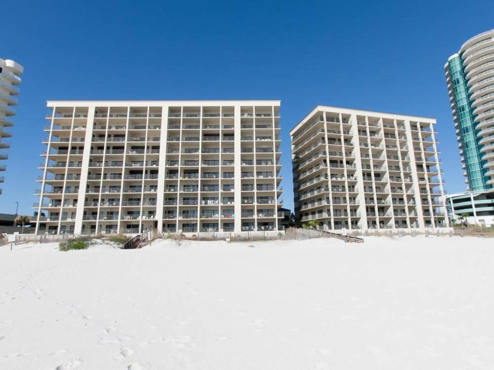 The Palms 401