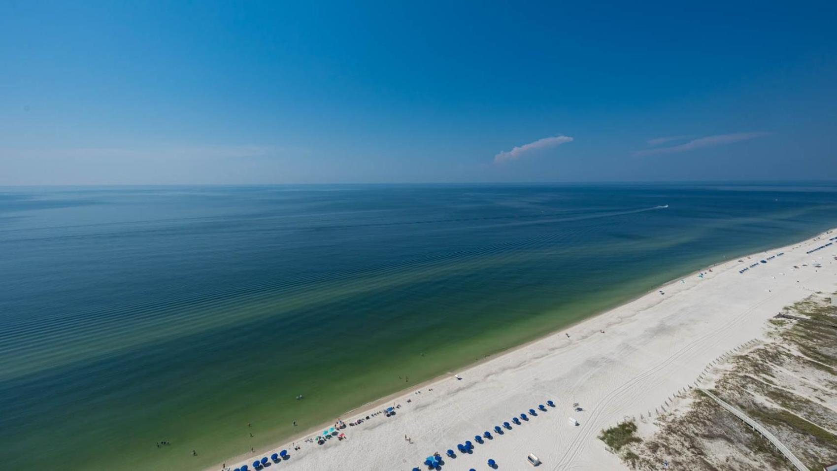 The Oasis 2708 Formerly Phoenix West Ii 2708 * Orange Beach